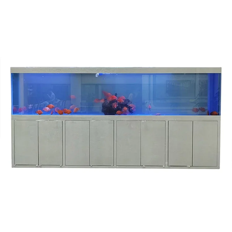 Aquarium Fish Big Size - Acrylic Big Fish Tank Rectangle Plastic