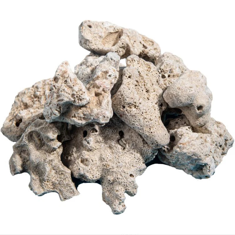 Aquarium Fish Big Size - Big Size Aquarium Filter Media Natural