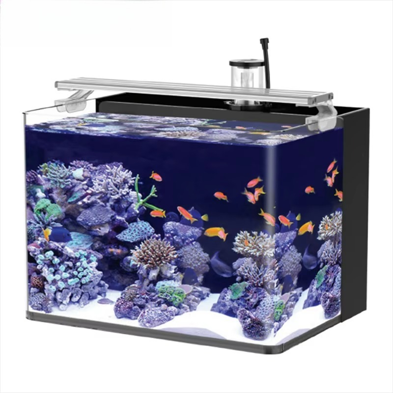 Delivery table curved seawater - Aquarium Fish Delivery ulasan dan harga