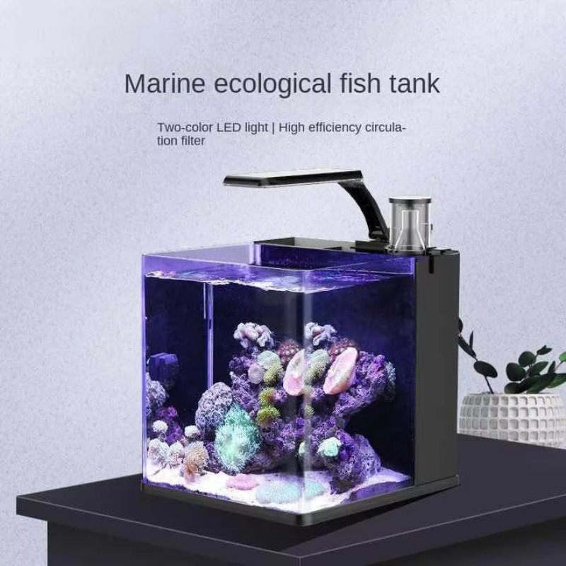 Delivery table curved seawater - Aquarium Fish Delivery ulasan dan harga