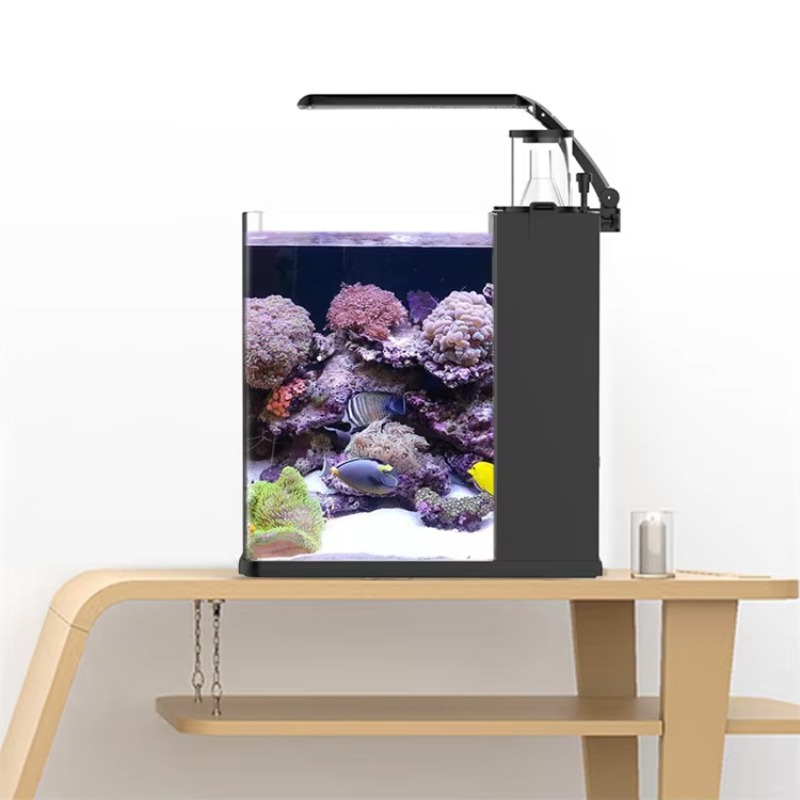 Delivery table curved seawater - Aquarium Fish Delivery ulasan dan harga