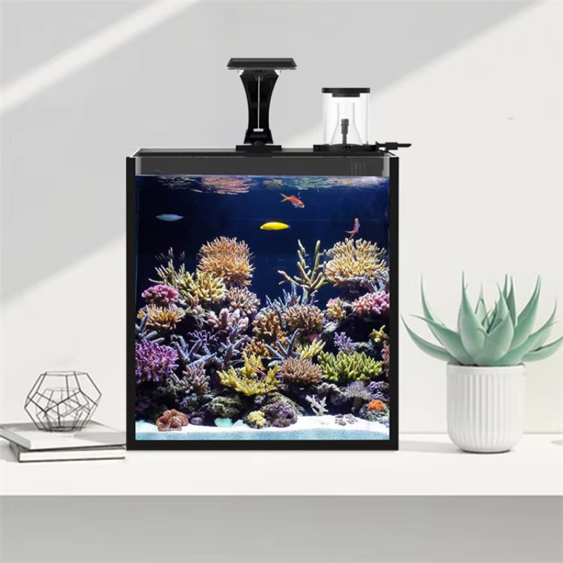 Delivery table curved seawater - Aquarium Fish Delivery ulasan dan harga