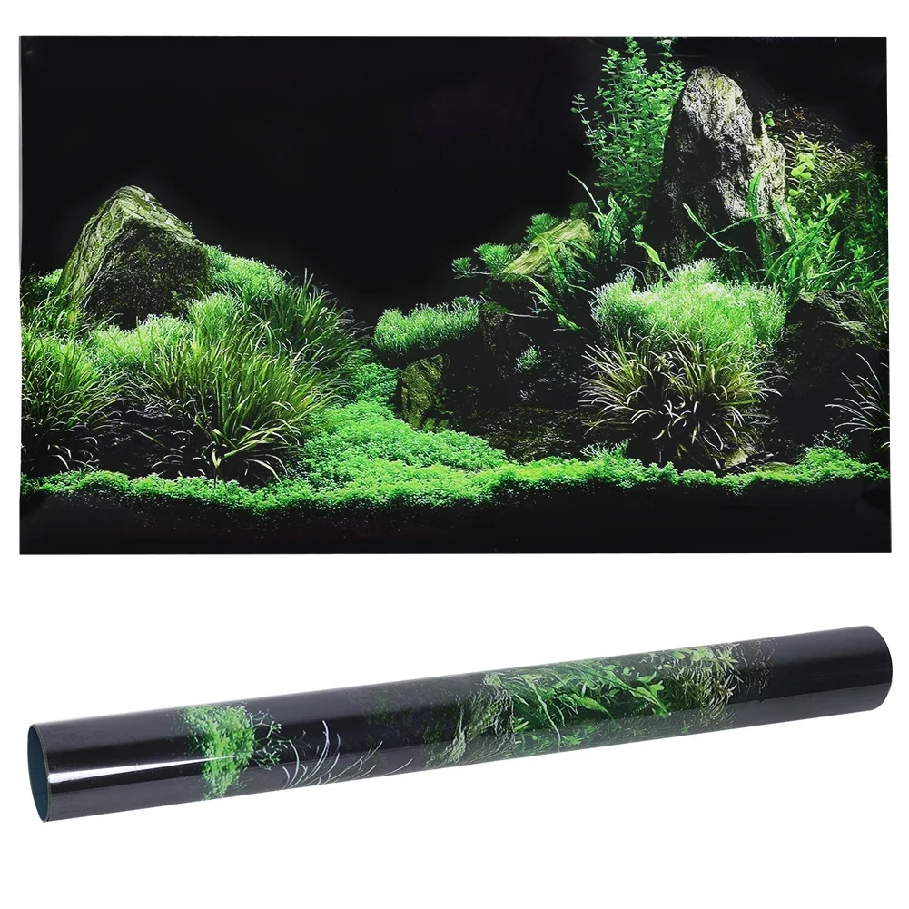 Background for Aquarium 3d Sti - Aquarium Fish Poster ulasan dan harga