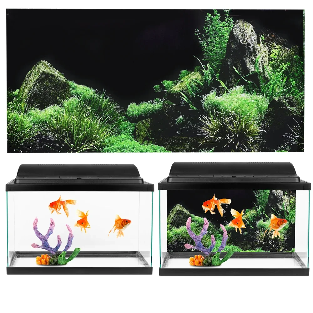 Background for Aquarium 3d Sti - Aquarium Fish Poster ulasan dan harga