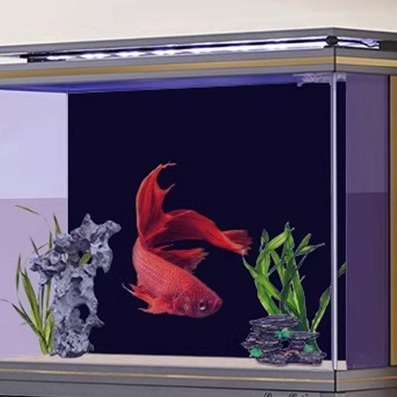 Black Aquarium Background Wall - Aquarium Fish Poster ulasan dan harga