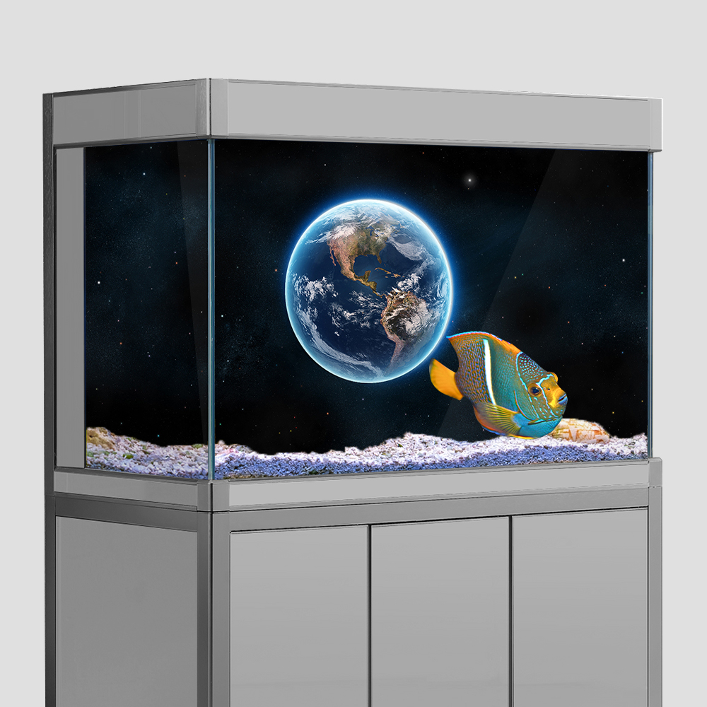 Aquarium Fish Tank  Background - Aquarium Fish Poster ulasan dan harga