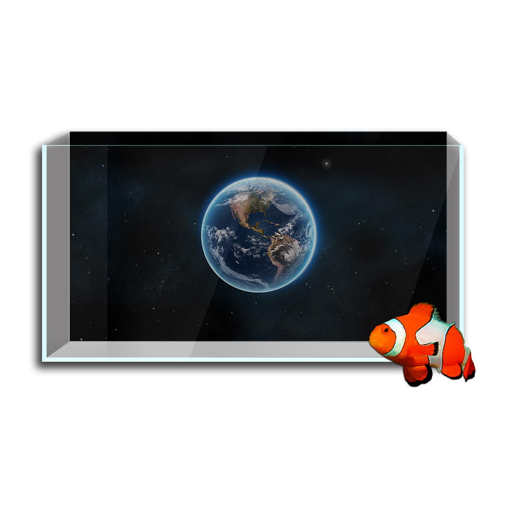 Aquarium Fish Tank  Background - Aquarium Fish Poster ulasan dan harga