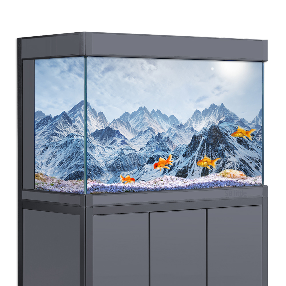 Aquarium Background Sticker,   - Aquarium Fish Poster ulasan dan harga