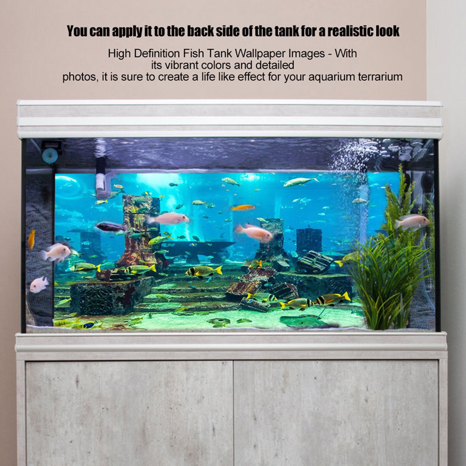 ZK20 Coral Aquarium Background - Aquarium Fish Poster ulasan dan harga
