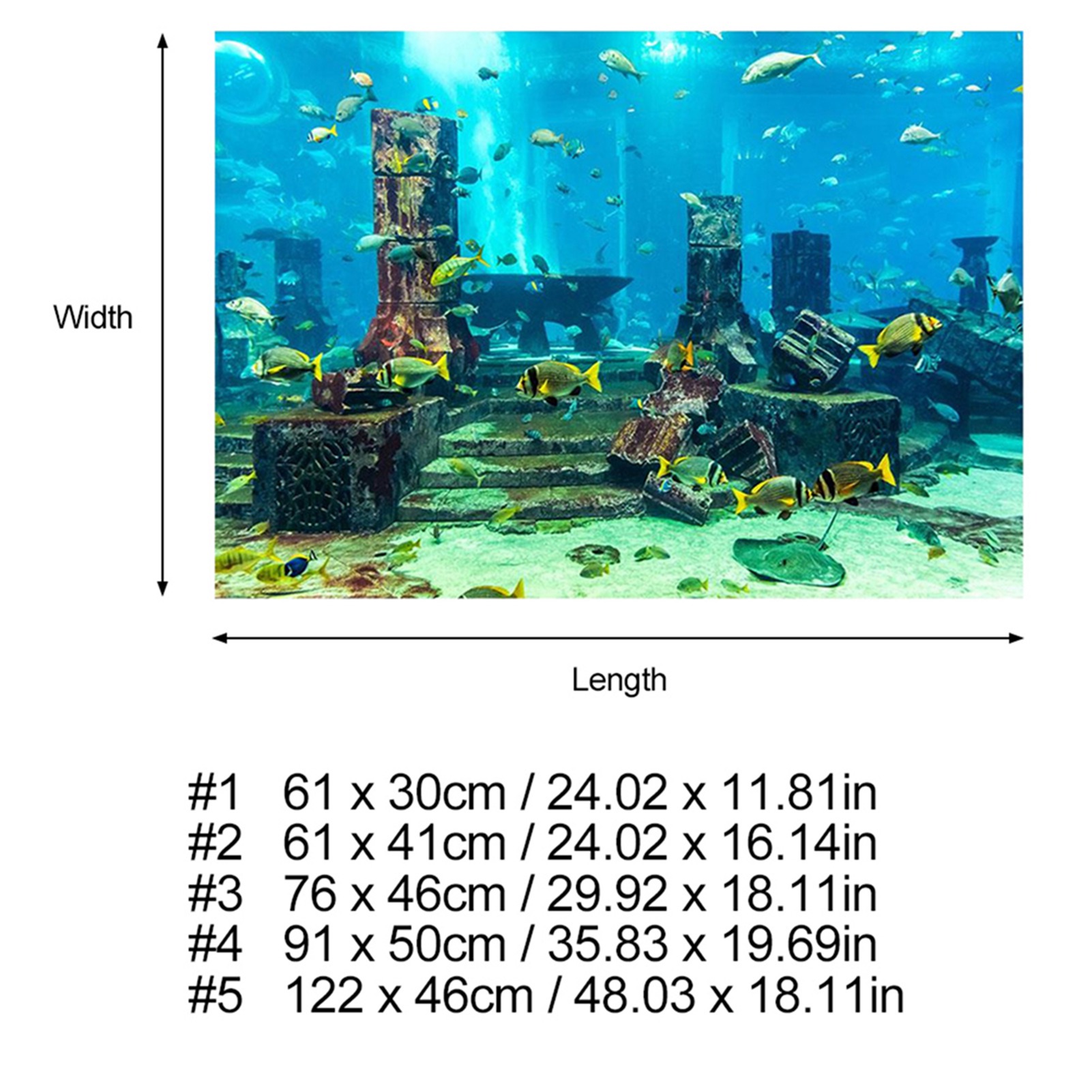 ZK20 Coral Aquarium Background - Aquarium Fish Poster ulasan dan harga
