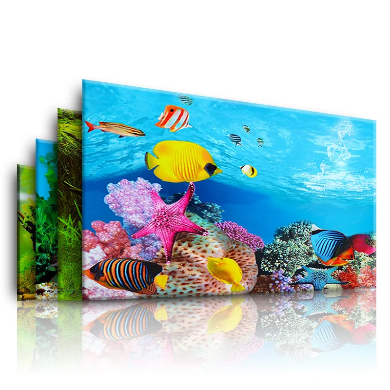 Background for Aquarium 3d  St - Aquarium Fish Poster ulasan dan harga