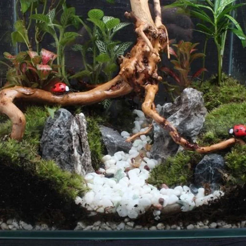 Natural Tree Trunk Driftwood A - Aquarium Fish Poster ulasan dan harga