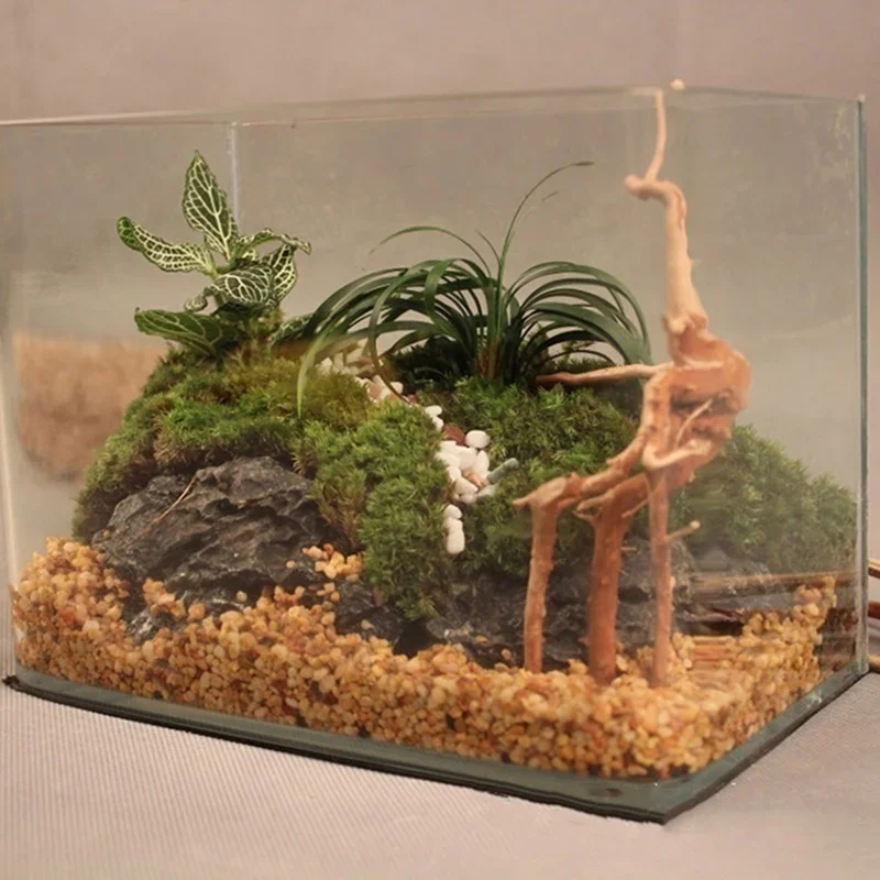 Natural Tree Trunk Driftwood A - Aquarium Fish Poster ulasan dan harga