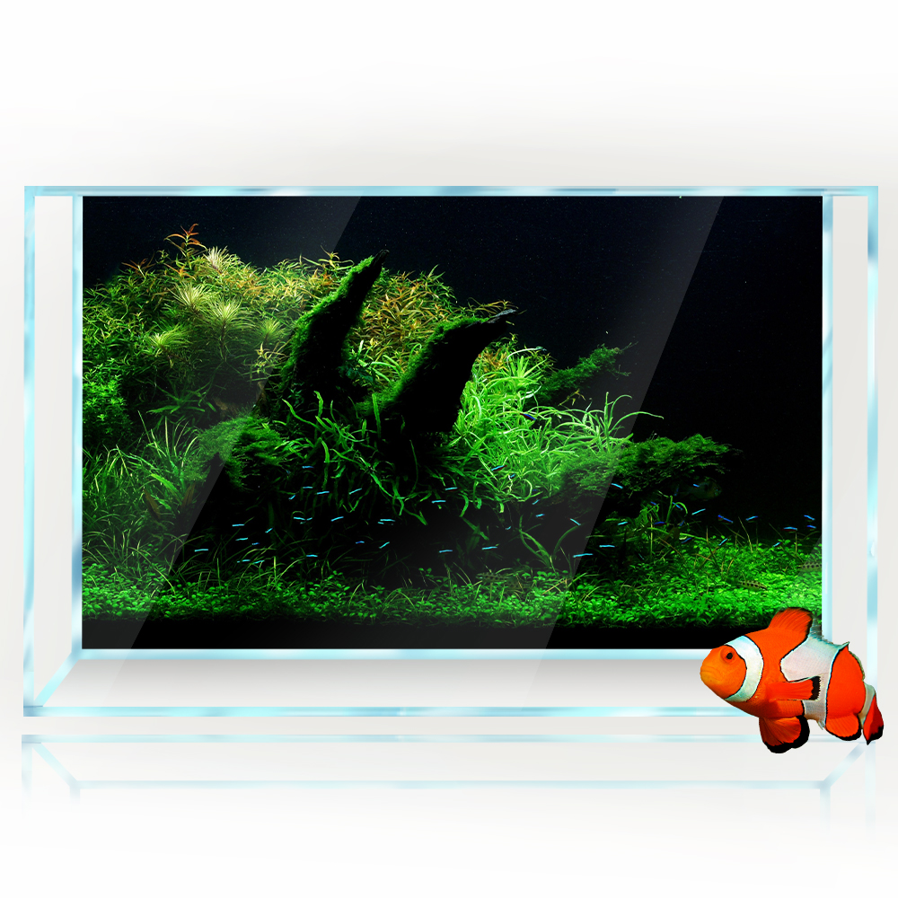 Aquarium Background Fish Tank  - Aquarium Fish Poster ulasan dan harga