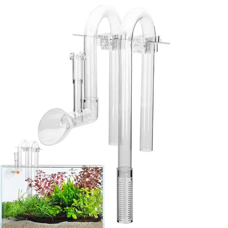 【Fast Delivery】Aquarium Inlet  - Aquarium Fish Delivery ulasan dan harga