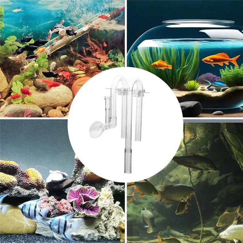 【Fast Delivery】Aquarium Inlet  - Aquarium Fish Delivery ulasan dan harga