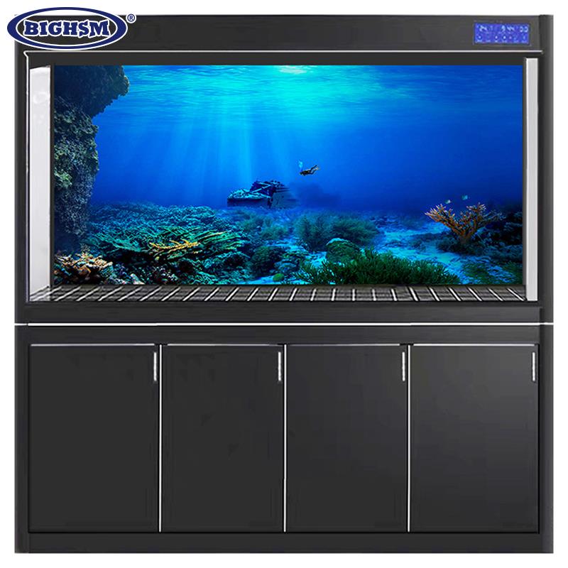 1Pcs Fish Tank Background Deco - Aquarium Fish Poster ulasan dan harga