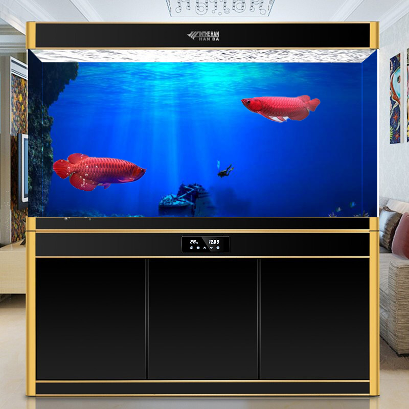 1Pcs Fish Tank Background Deco - Aquarium Fish Poster ulasan dan harga
