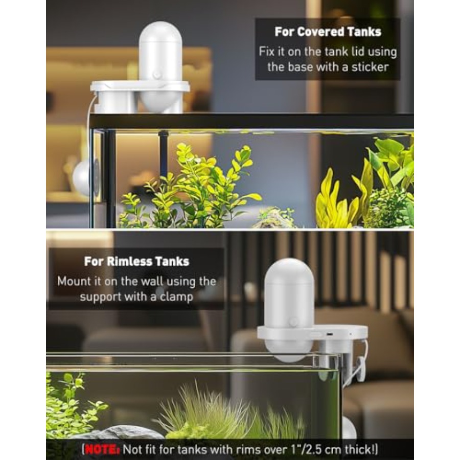 WiFi Automatic Fish Feeder for - Aquarium Fish Videos ulasan dan harga