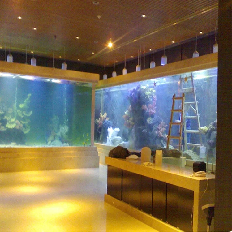l Acrylic Big Fish Tank Rectan - Aquarium Fish Big Size ulasan dan harga
