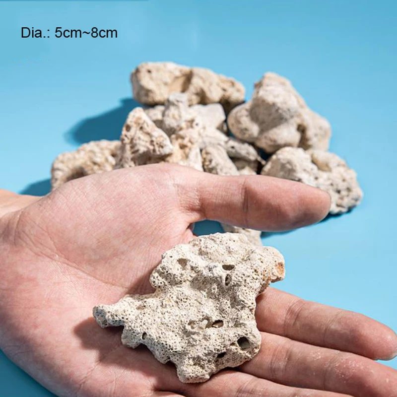 Big Size Aquarium Filter Media - Aquarium Fish Big Size ulasan dan harga