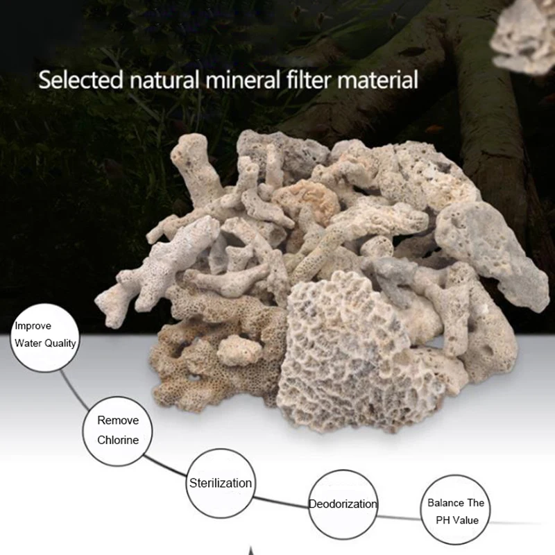 Big Size Aquarium Filter Media - Aquarium Fish Big Size ulasan dan harga