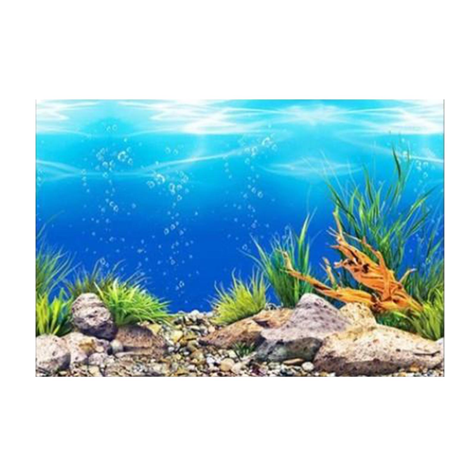 3D Effect Aquarium Background  - Aquarium Fish Poster ulasan dan harga