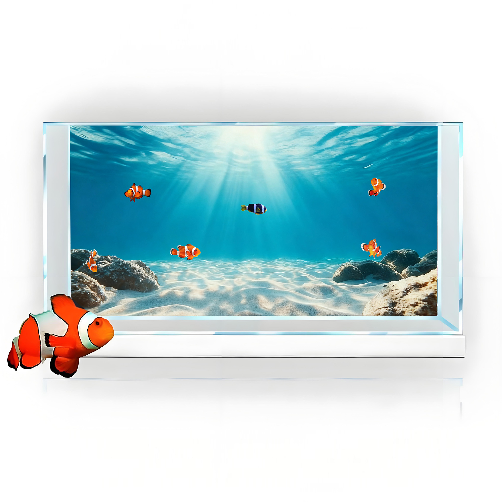 Blue sea clear sand，Fish tank  - Aquarium Fish Poster ulasan dan harga