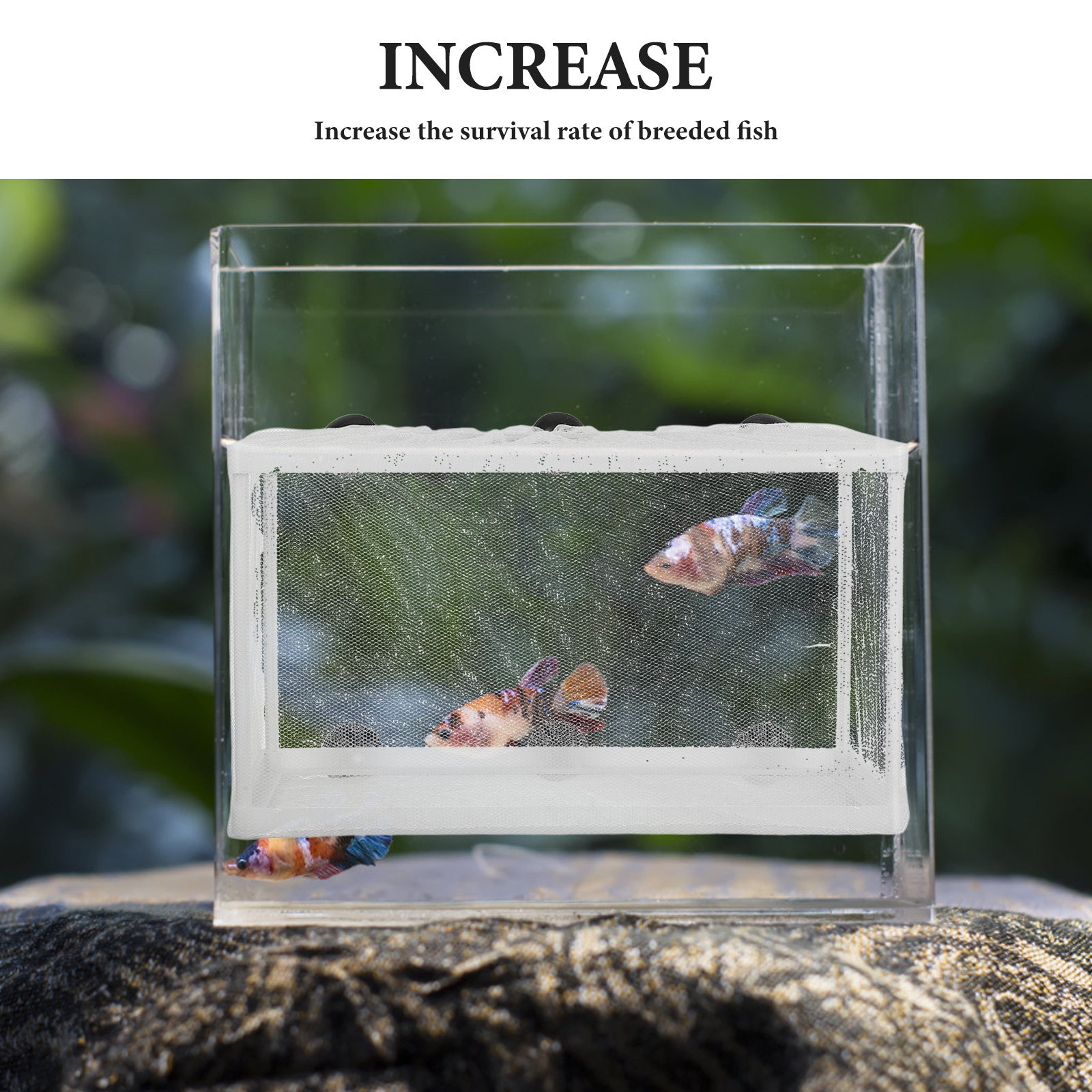 Aquarium Fish Net Hatchery Box - Aquarium Fish Net Big Size ulasan dan harga