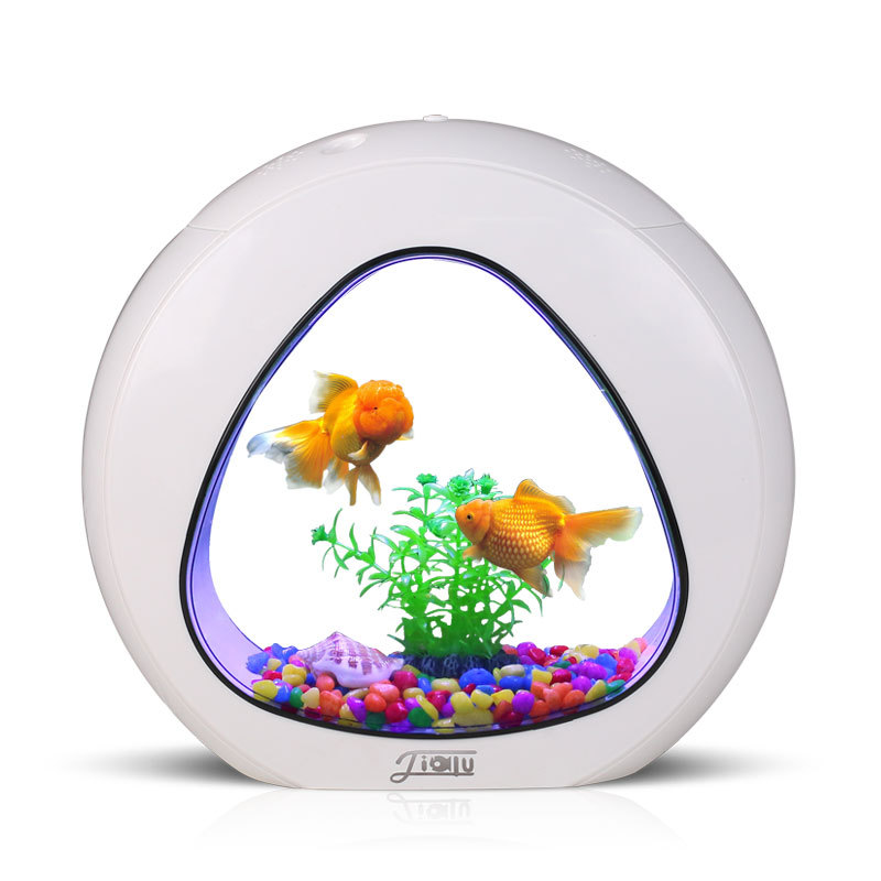 Jialu creative desktop fish ta - Aquarium Fish Delivery ulasan dan harga