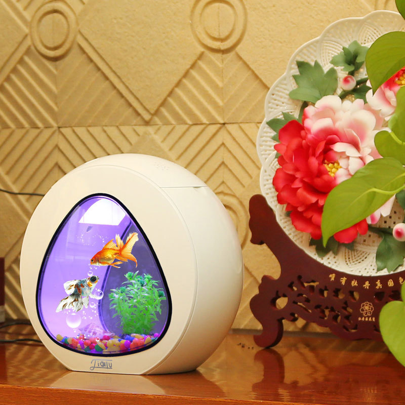 Jialu creative desktop fish ta - Aquarium Fish Delivery ulasan dan harga