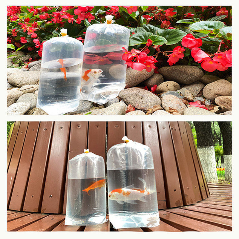50 Pcs Aquarium Breathing Bags - Aquarium Fish Delivery ulasan dan harga