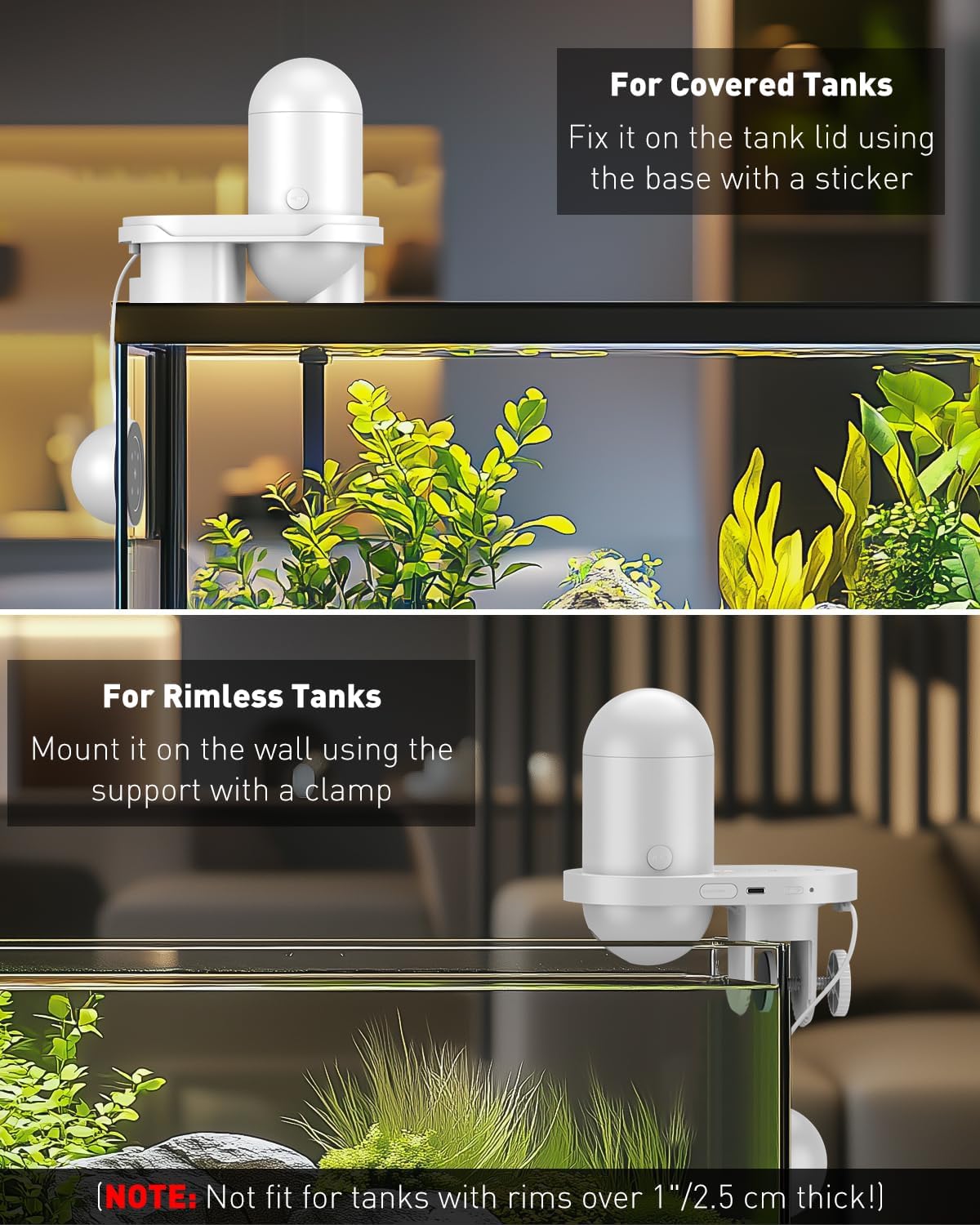 WiFi Automatic Fish Feeder for - Aquarium Fish Videos ulasan dan harga