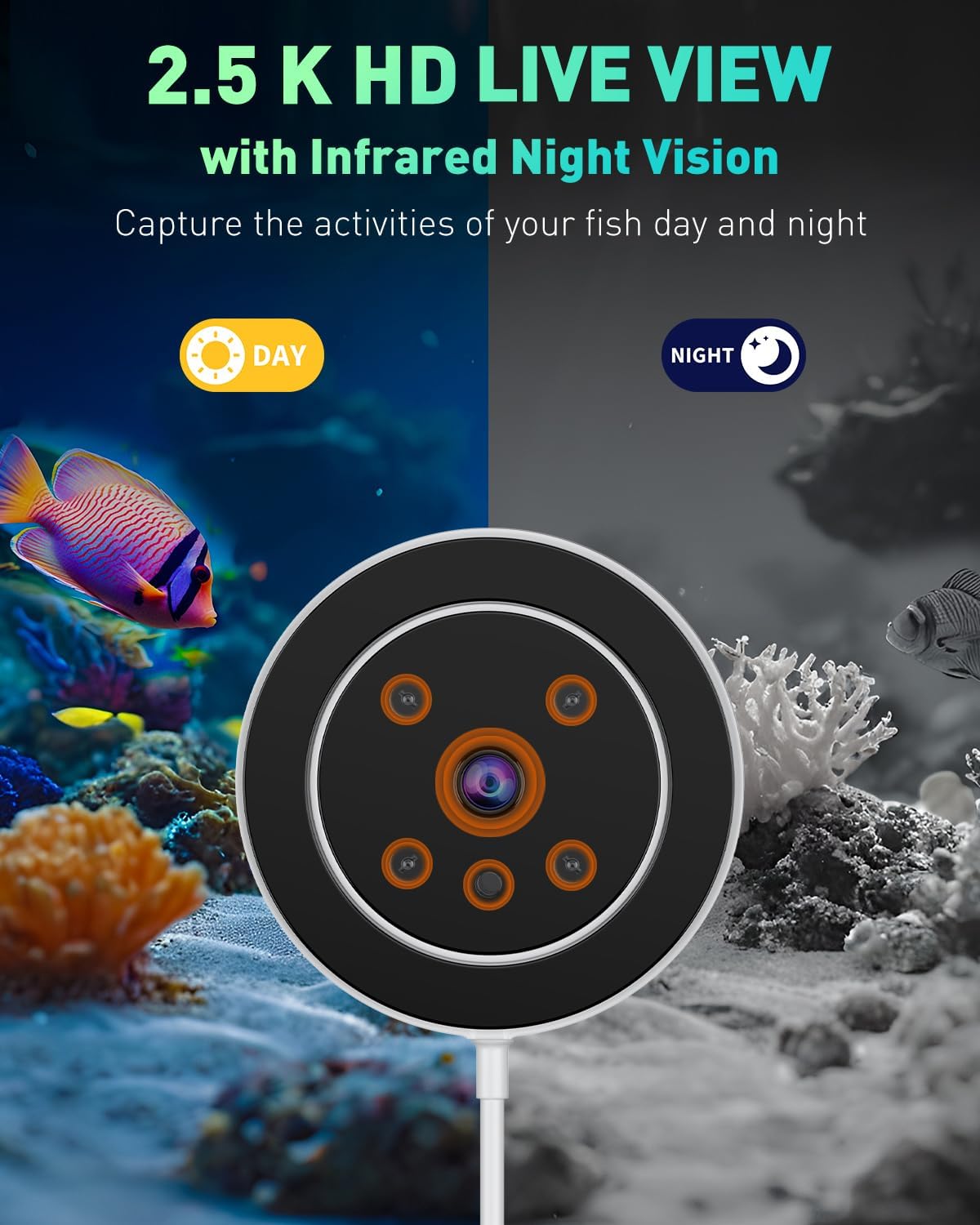 WiFi Automatic Fish Feeder for - Aquarium Fish Videos ulasan dan harga