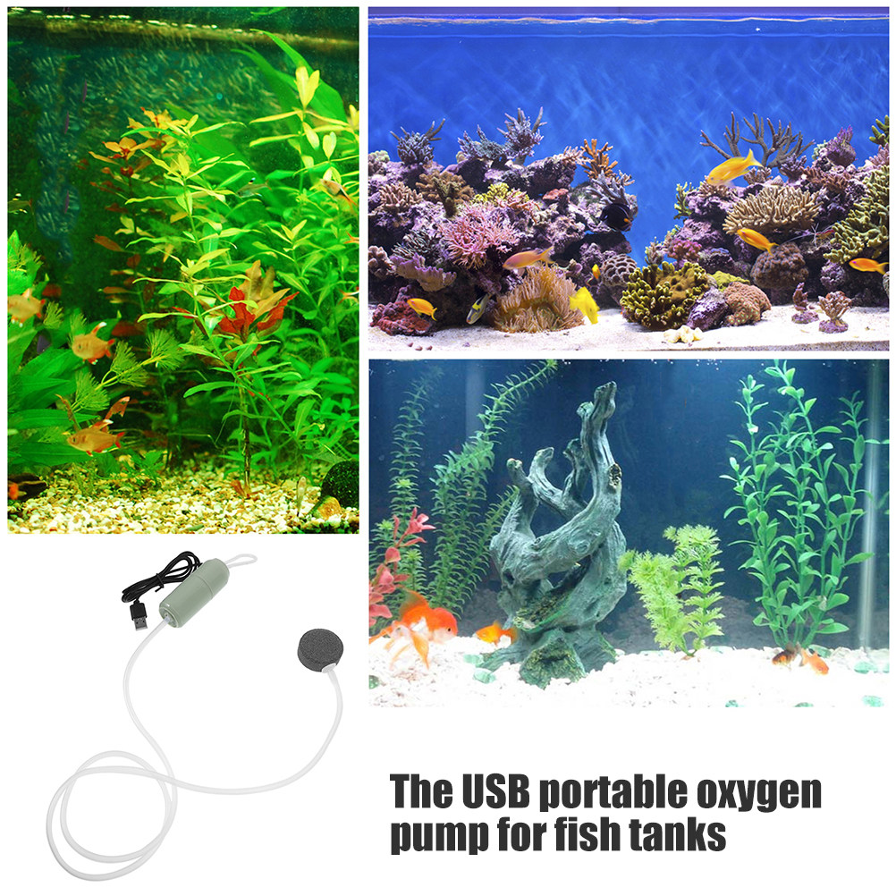 Quiet USB Mini Air Aerator Pum - Aquarium Fish Delivery ulasan dan harga