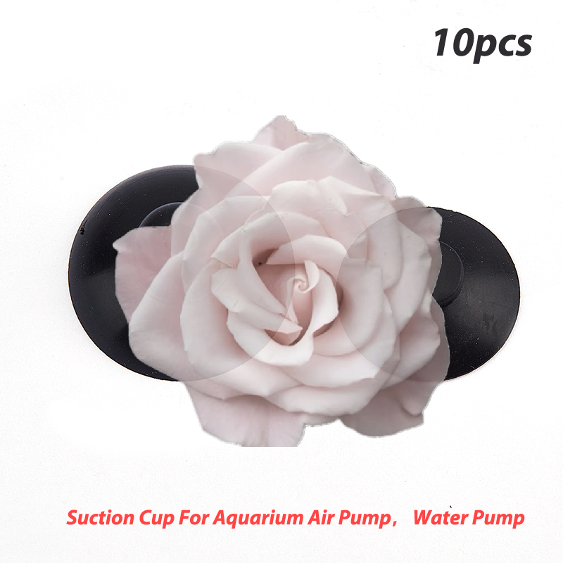 Popular 10Pcs Aquarium Fish Ta - Aquarium Fish Popular ulasan dan harga