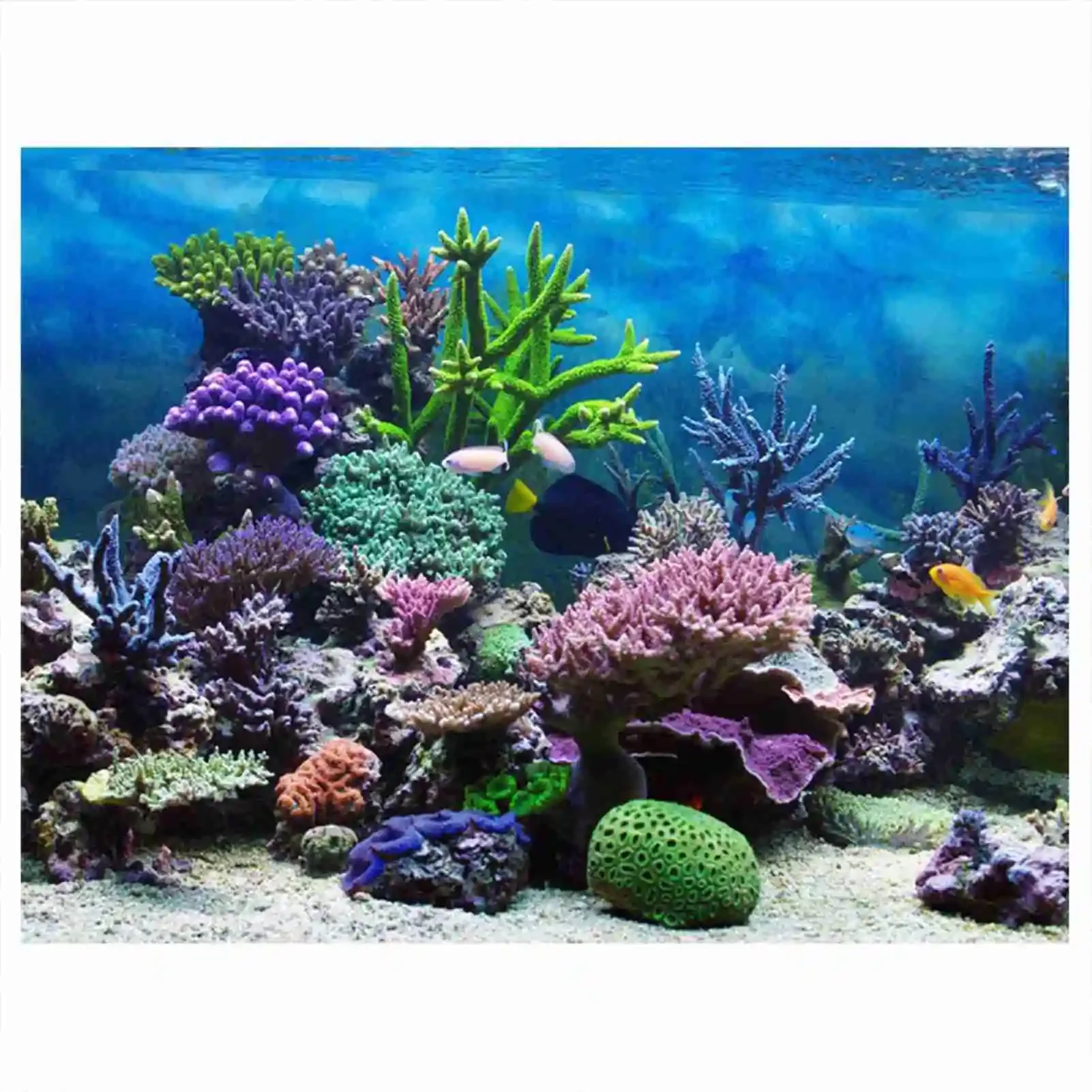 3D Aquarium Landscape Poster R - Aquarium Fish Poster ulasan dan harga