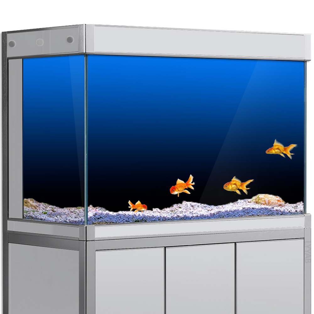 Fish Tank Background Sticker B - Aquarium Fish Poster ulasan dan harga