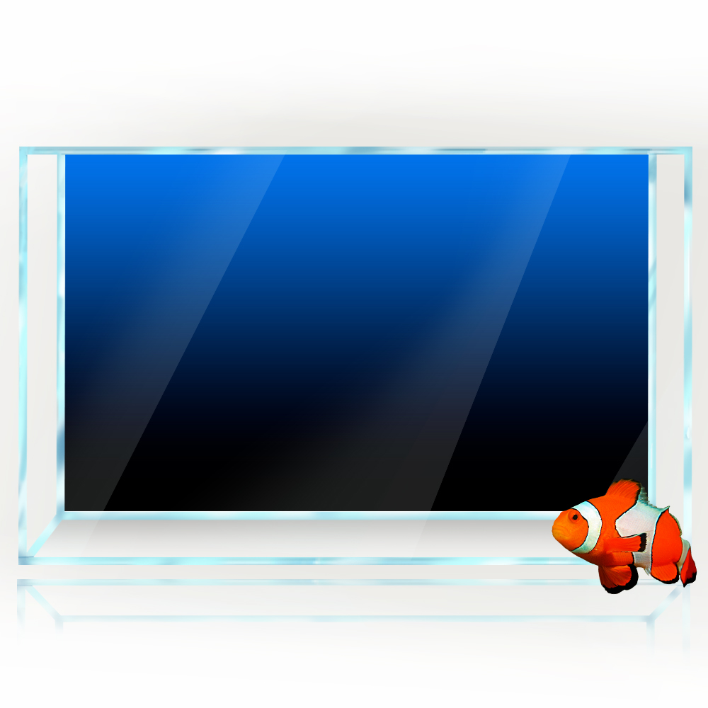 Fish Tank Background Sticker B - Aquarium Fish Poster ulasan dan harga