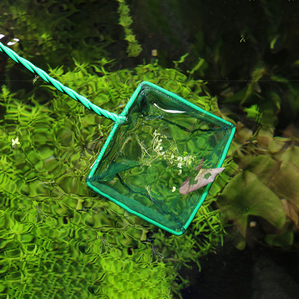 2Pcs Big Size Fish Landing Net - Aquarium Fish Net Big Size ulasan dan harga