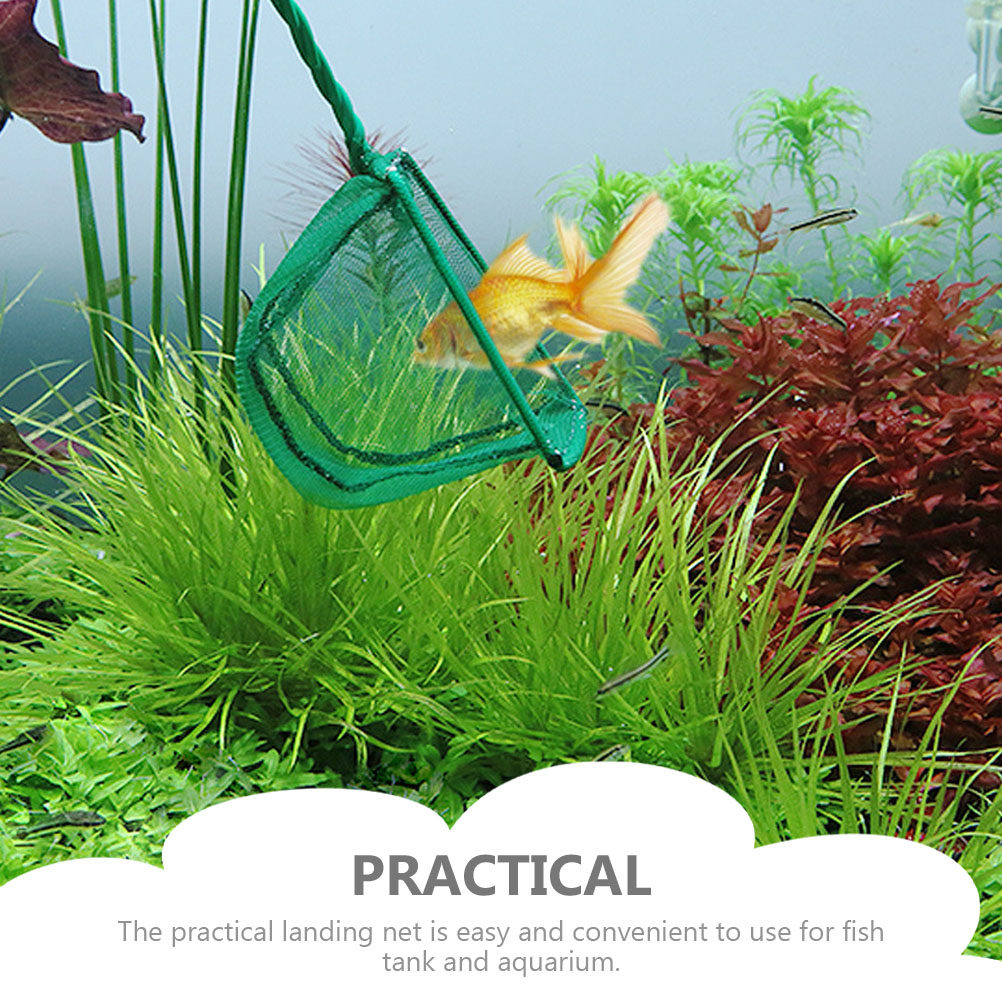2Pcs Big Size Fish Landing Net - Aquarium Fish Net Big Size ulasan dan harga