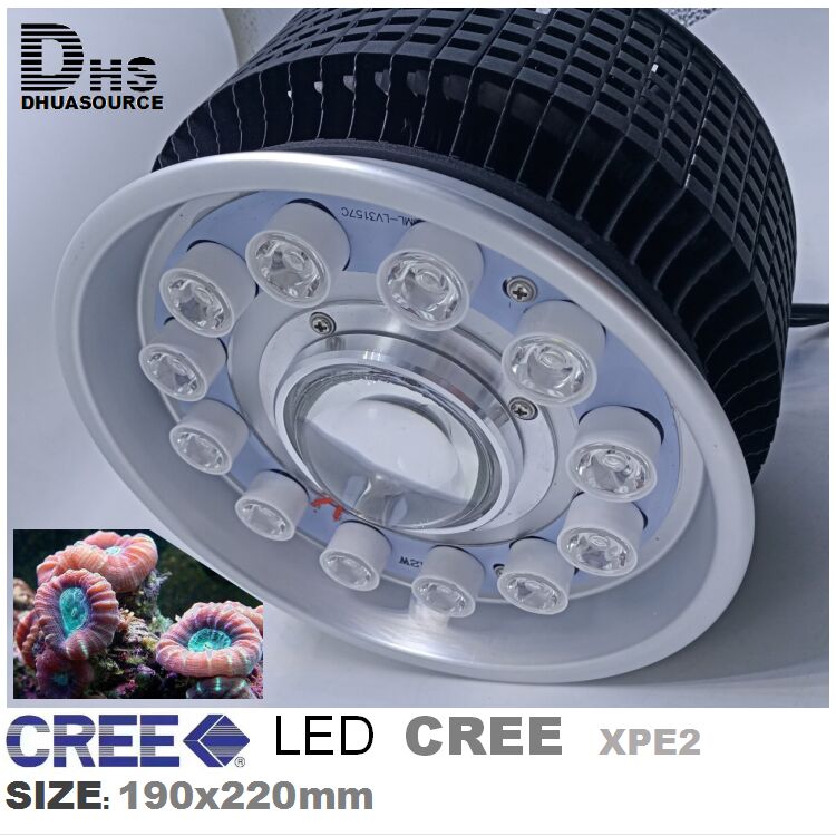 150WLED Aquarium Lighting Reef - Aquarium Fish Big Size ulasan dan harga