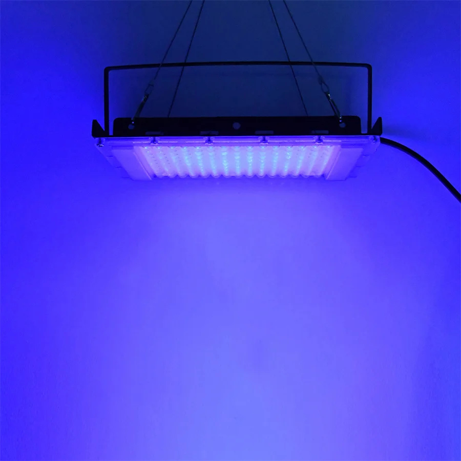 300W UV 395nm Black Light Ultr - Aquarium Fish Poster ulasan dan harga