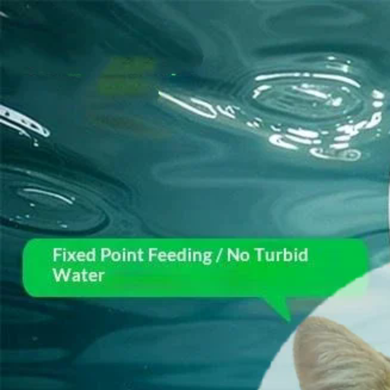 Popular Precise Fish Pacifier  - Aquarium Fish Popular ulasan dan harga
