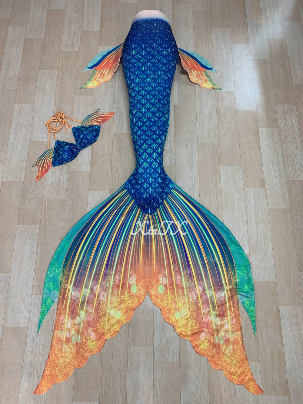 Adult Parent Girls Professiona - Aquarium Fish Big Size ulasan dan harga