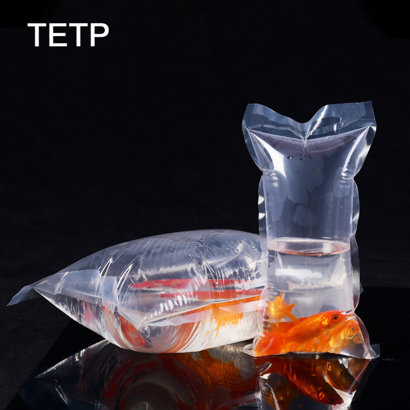 TETP 100Pcs transparent Orname - Aquarium Fish Delivery ulasan dan harga