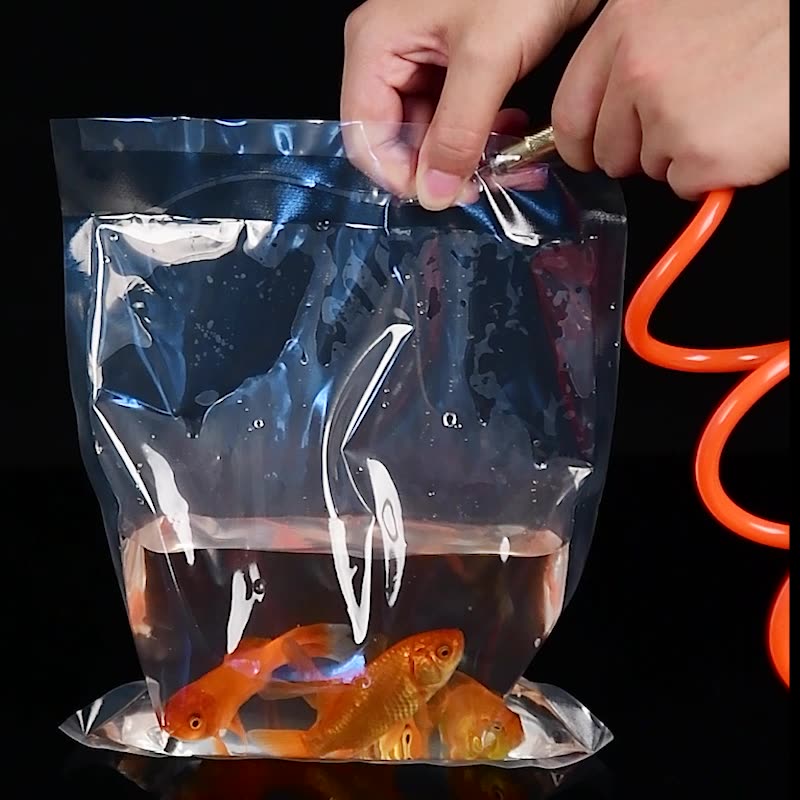 TETP 100Pcs transparent Orname - Aquarium Fish Delivery ulasan dan harga
