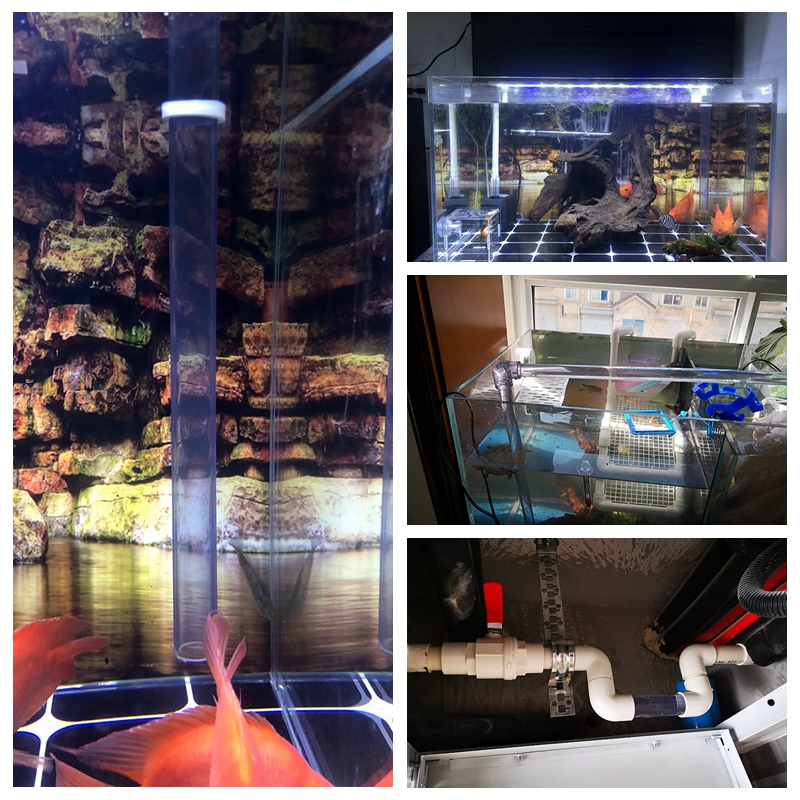 Big Size 110~280mm UPVC Transp - Aquarium Fish Big Size ulasan dan harga